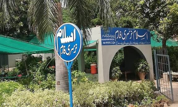 Entrance of Islam Nursery Farm in Pattoki